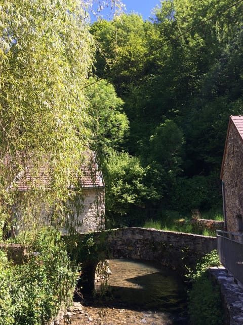 Natural landscape, River view