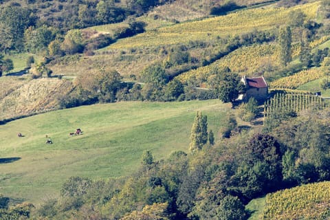 Natural landscape, Autumn, Seasons