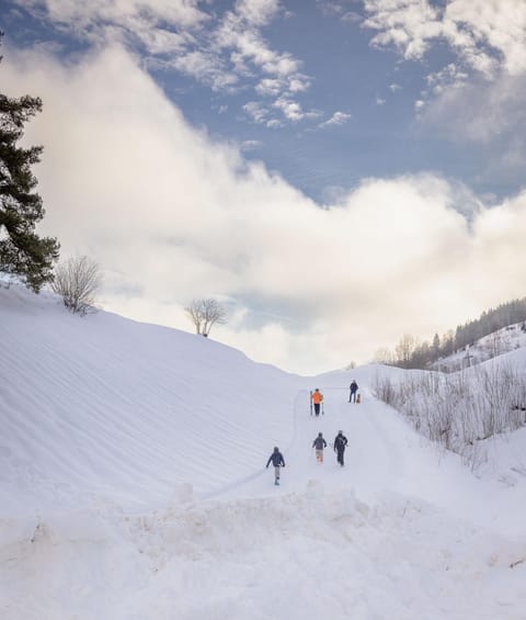 Skiing