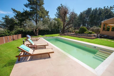 Natural landscape, Garden, Garden view, Swimming pool, sunbed