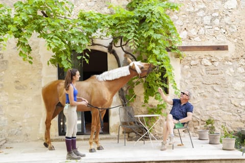 Domaine Cap Rubis Bed and Breakfast in Arles