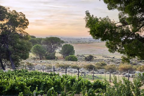 Deux Frères Wine Estate & Luxury Villas Bed and Breakfast in Stellenbosch