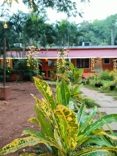 Garden, Garden view