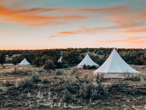 Wander Camp Grand Canyon Luxury tent in Grand Canyon National Park