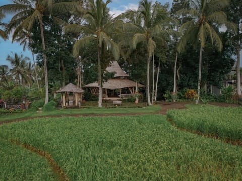Asep Gumi Retreat - Soul of Nature in Tabanan Villa in East Selemadeg