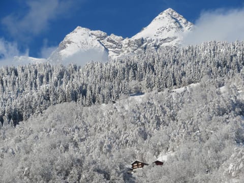 Natural landscape