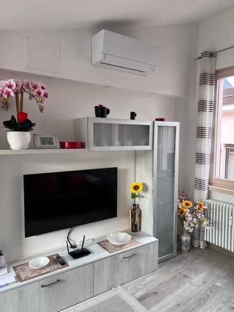 TV and multimedia, air conditioner