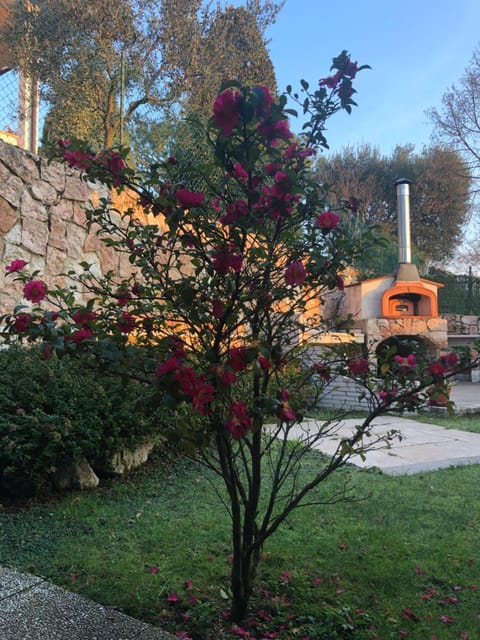 Garden, Garden view