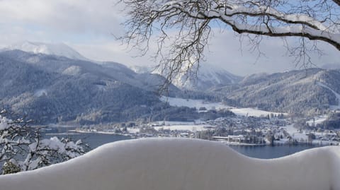 Winter, Lake view