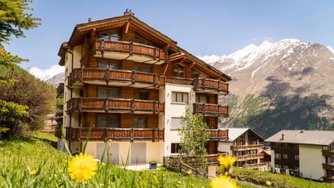 Property building, Summer