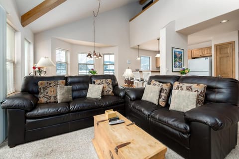 Tarn Landing Condo: Access To All Summit Resorts Apartment in Frisco