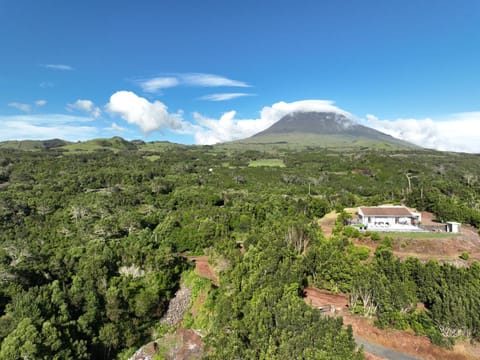 PicoTerrace Villa in Azores District