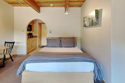 Timberline Condominiums Studio Deluxe Unit 217 House in Snowmass Village