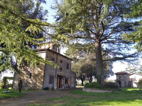 Garden, Garden view, Landmark view