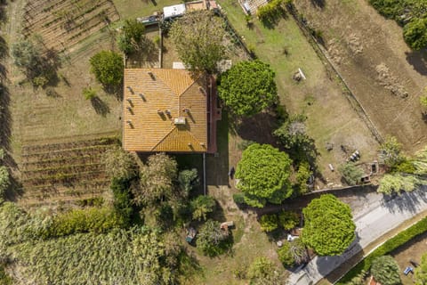 View (from property/room), Floor plan