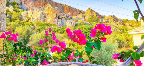 Natural landscape, Garden, Mountain view