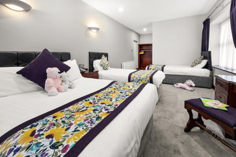 Rathkeale House Hotel Hotel in County Limerick