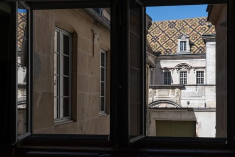 La Chouette des Ducs, Appartement en Hypercentre Apartment in Dijon
