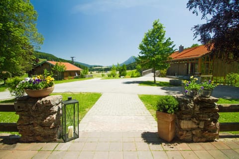 Garden, Inner courtyard view