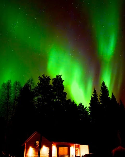 Night, Natural landscape