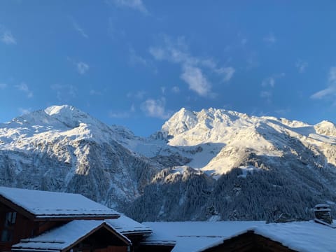 Chalet Victoria Chalet in Sainte-Foy-Tarentaise