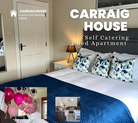 Carraig House Apartment in Longford