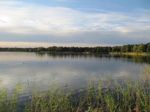 Eschenkamp 7a Apartamento in Gifhorn