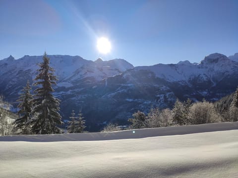 Les Iris T2 station Alpe Huez Apartment in Auris