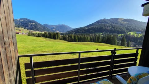 Balcony/Terrace, Mountain view