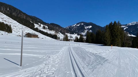 Natural landscape, Winter, Skiing, Mountain view