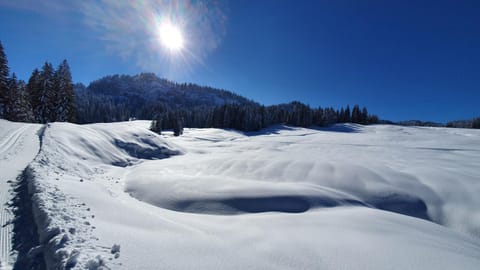 Winter, Skiing, Mountain view