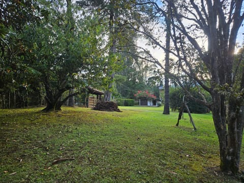 Chalés Mathora Nature lodge in State of Rio de Janeiro