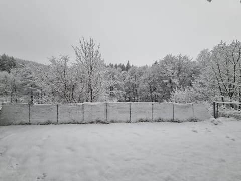 Ferienwohnung Schneeberg Apartment in Willingen