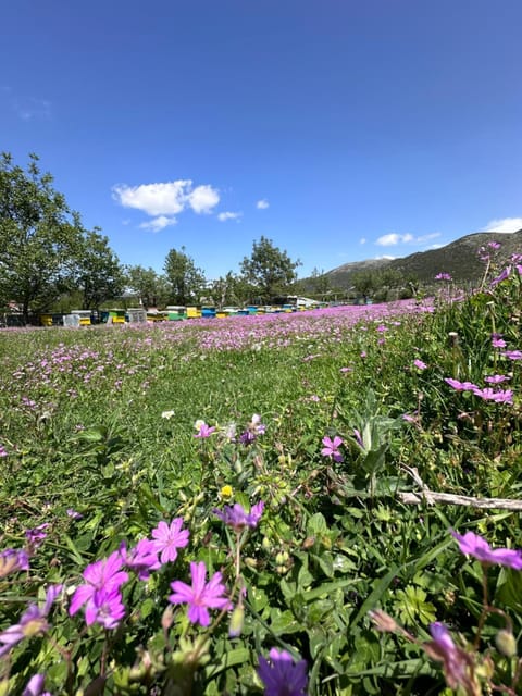 Progon House Bed and Breakfast in Vlorë County, Albania