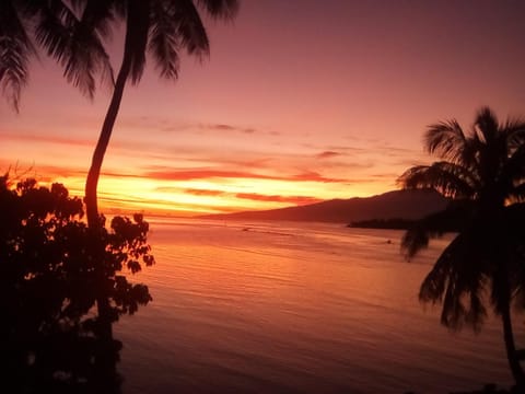 bungalow lagon view Bed and Breakfast in Moorea-Maiao