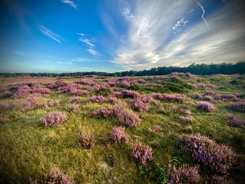 Relais & Chateaux De Struyckenbergen - villa met wellness Villa in Ermelo