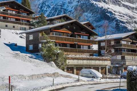 Apartment Schönegg - GRIWA RENT AG Condo in Grindelwald