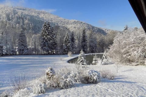 CHALET DES CHARBONNIERS AVEC ETANG - 5 chambres - Chalet in Vosges