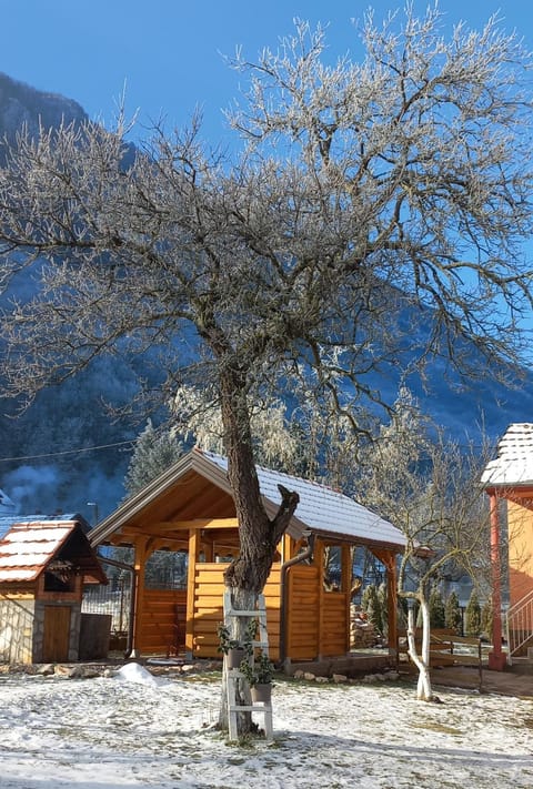 NAXI GUEST HOUSE House in Zlatibor District, Serbia