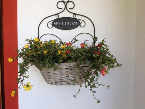 Apartment in villa 2 to 4 persons with large private garden Sole Apartment in Capoliveri