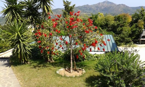 Apartment in villa 2 to 4 persons with large private garden Sole Apartment in Capoliveri