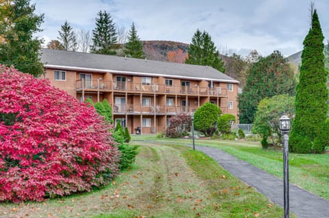 Lincoln Apartment with Balcony 2 Mi to Loon Mtn! Apartment in Woodstock