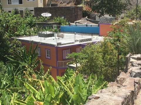 Property building, Garden, Garden view