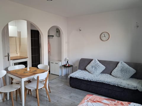 Apartament obok Zamku Apartment in Pomeranian Voivodeship