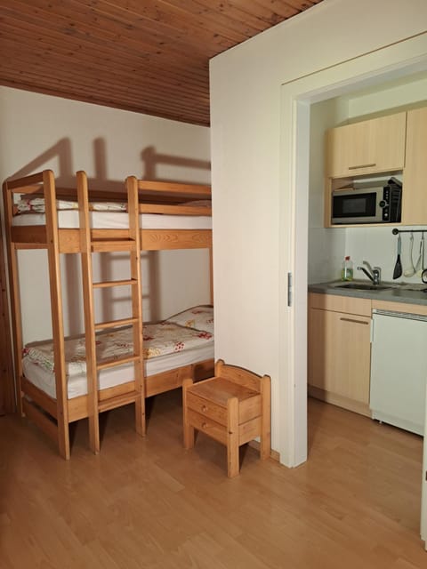 Appartement Alpenheim Apartment in Zell am See