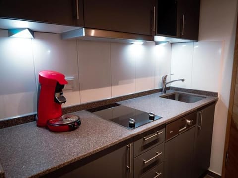 Das Luegstein Apartment in Salzburgerland