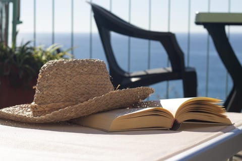 Appartamento Terrazza DA...Mare Apartment in Camogli