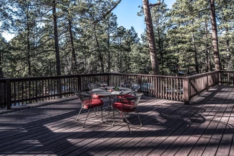 A Climbing Cub House in Ruidoso