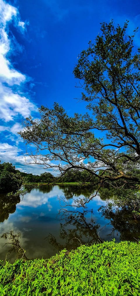 Spring, Natural landscape, Lake view, River view