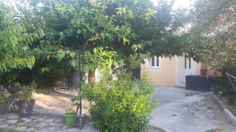 Facade/entrance, Garden